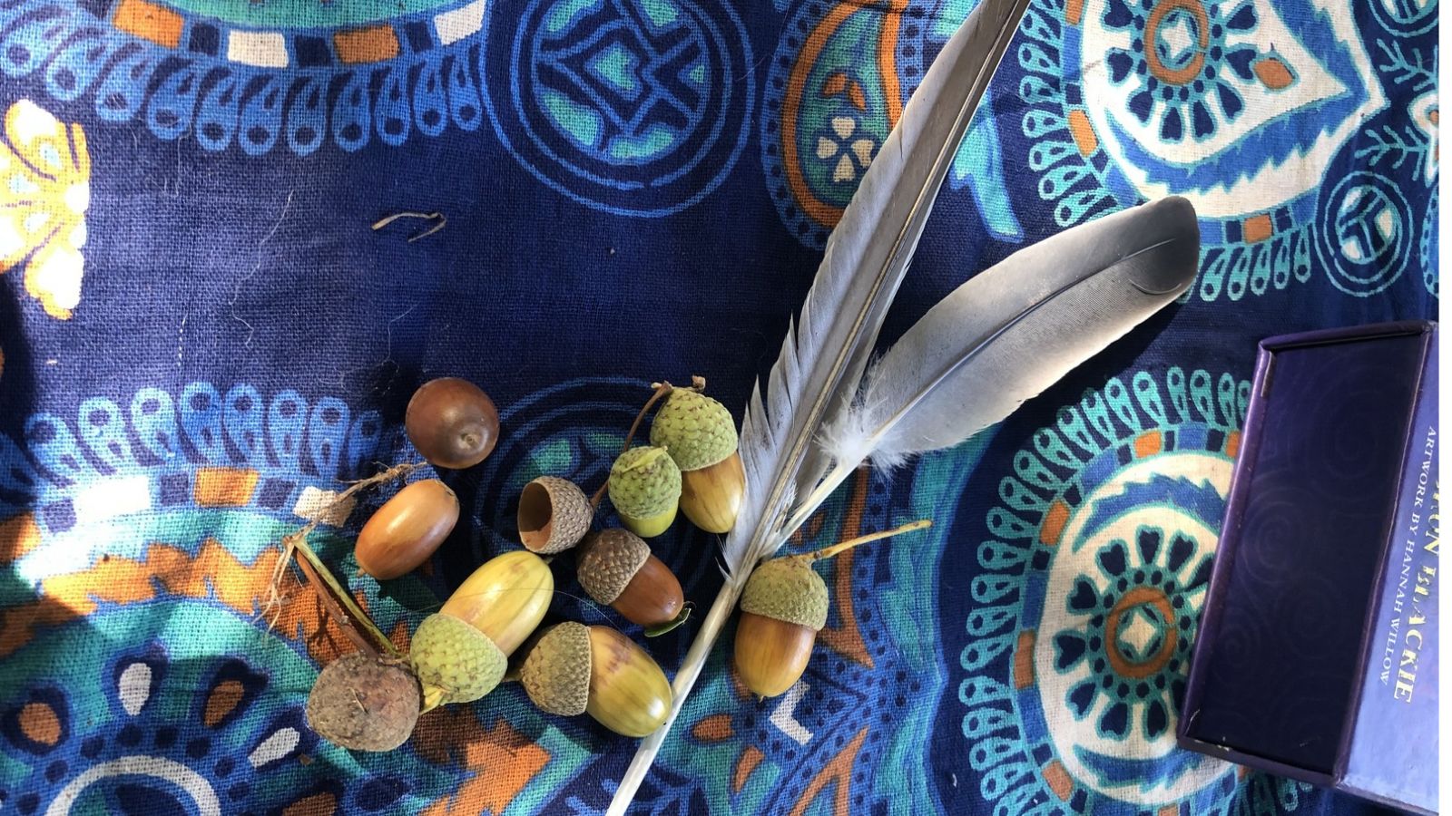 Debbie Thurlow Nature circle acorns image of a beautiful blue cloth with feathers and acorns on the top to illustrate debbie thurlow york nature circle